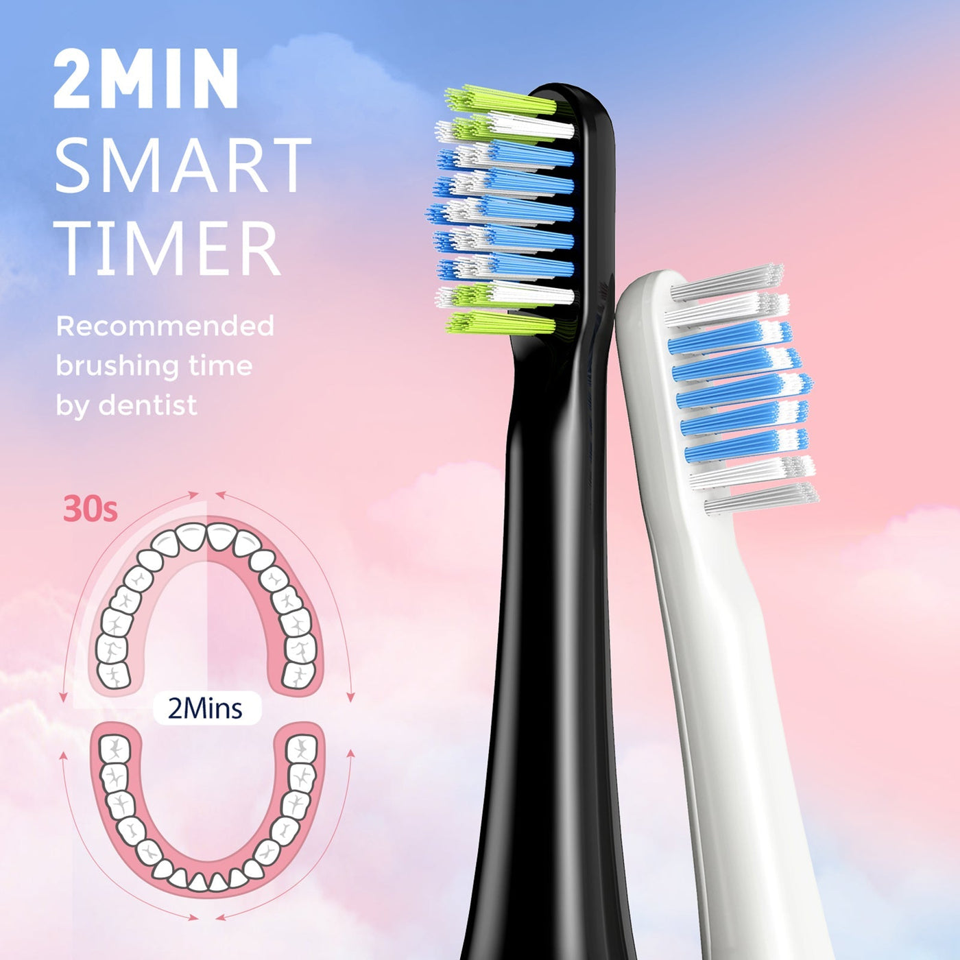 142AW DUO Electric Toothbrushes Adults